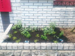 ���� ���ƥӥ� ���᥸���ȥ����� �ҥᥤ����쥽�� ����