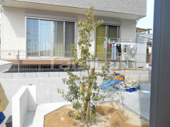 ����ܥ�ĥ꡼ ���襴 ���м� ����