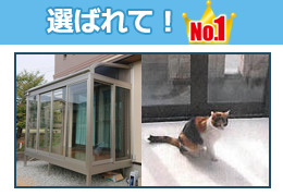 ���Ф��No.1