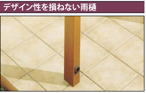�ǥ���������»�ͤʤ�����