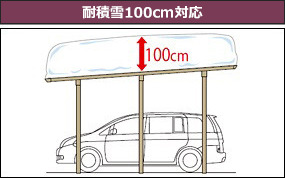������100cm