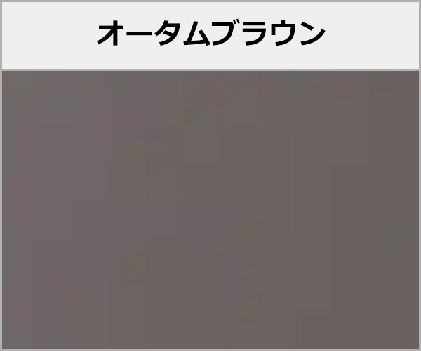 LIXIL ����롼��(�ƥ饹�Ϥ�) ���ˡ�����R ���ο�����������֥饦��