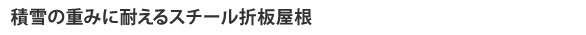 ����νŤߤ��Ѥ��륹��������Ⱦ����