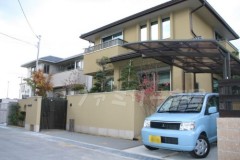 �����ݡ���1����