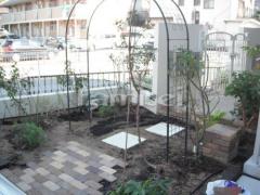 ���󥰥�å��奬���ǥ� ���ץ��������