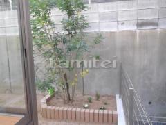 ��󥬲��� ��˥��� �ͥ��ȥ֥�å� ���� ����ܥ�ĥ꡼ ���ޥȥͥꥳ ���м�
