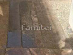 ���������ץ����� ŷ������