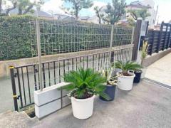 ʽ�ޤ���ե�����